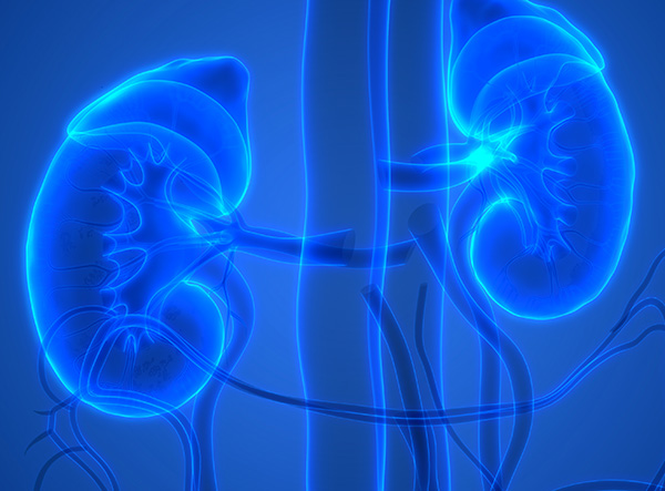Signs and symptoms of renal failure 